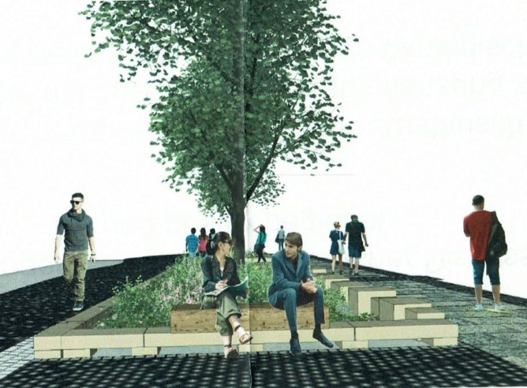 Update: Fraktionsbericht – Bäume in der Innenstadt