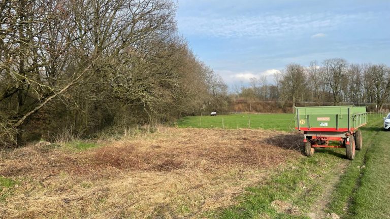 Frühjahrsputz für Biene und Co.